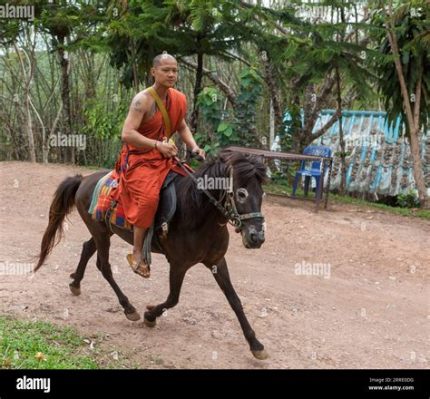 昆明金殿騎馬多少錢